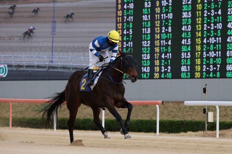 지난 1월 2일, 렛츠런파크 부산경남의 서승운(36세) 기수가 부경 제7경주에서 우승하며 데뷔 16년 만에 개인통산 900승을 달성했다.    / 사진제공=렛츠런파크 부산경남