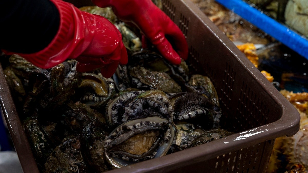 전복. 기사의 이해를 돕기 위한 사진 / Light Win-shutterstock.com