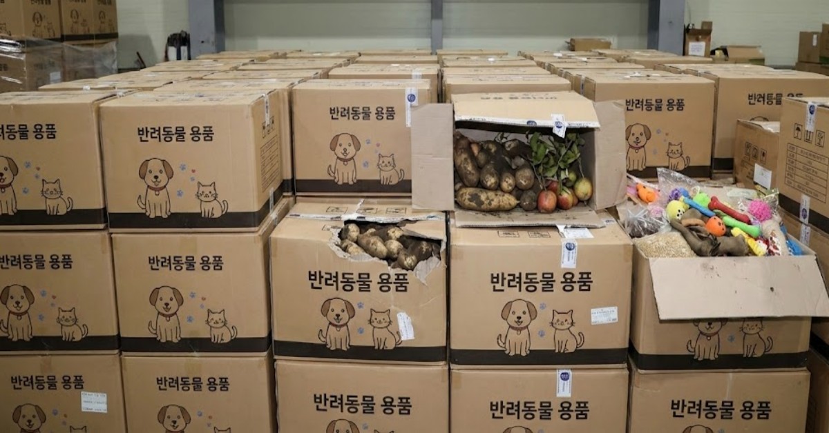 AI를 활용해 제작한 단순 자료 이미지로, 실제 모습을 구현한 것이 아니며 기사 내용과 직접적인 관련은 없습니다.