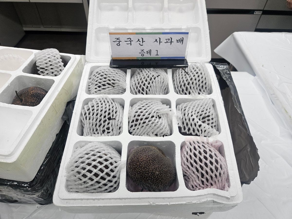 중국산 농산물 불법 수입 적발 / 농림축산검역본부