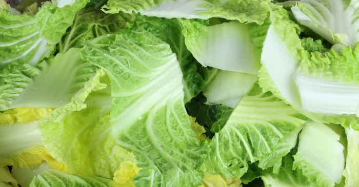 유튜브 '요리왕비룡 Korean Food Cooking'