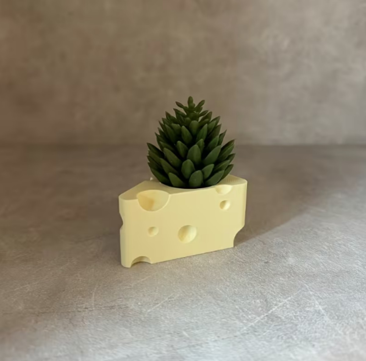 미니 치즈 화분 / 테무 홈페이지