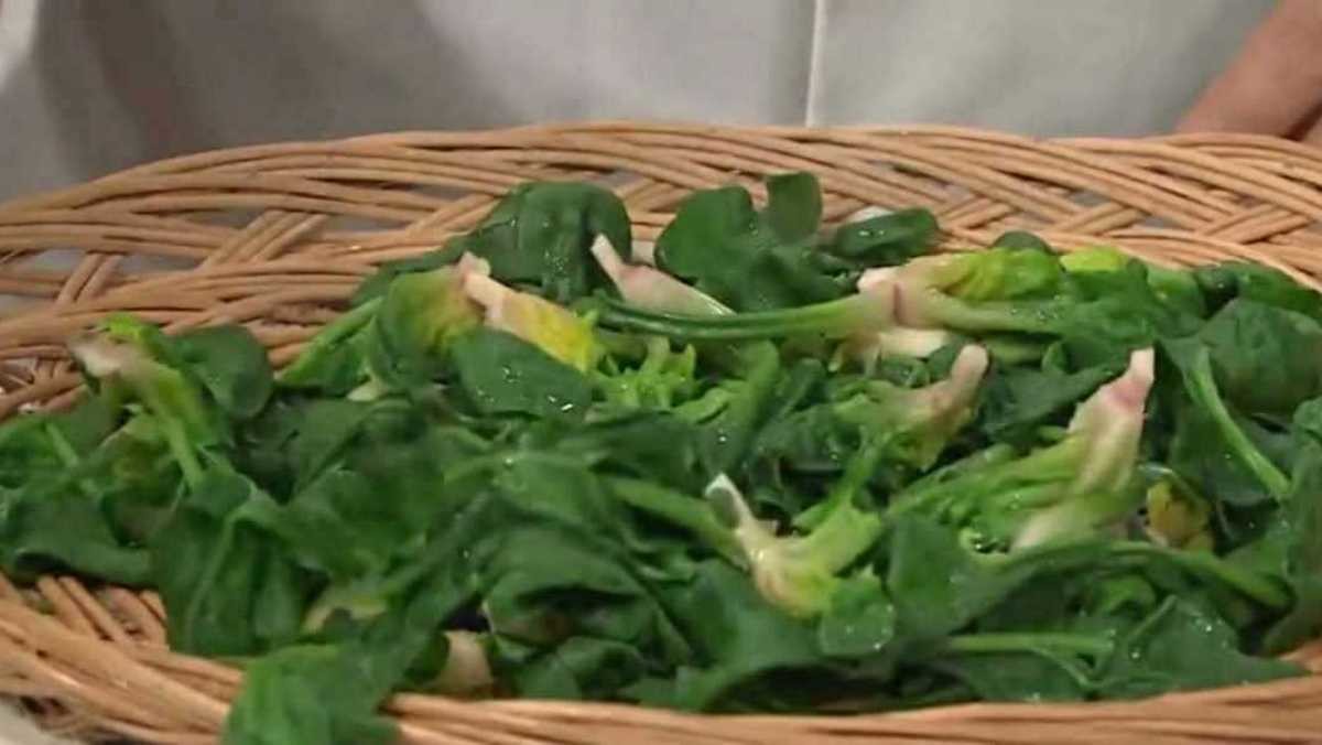 데친 시금치를 채반에 펼쳐 한 김 식히면 맛있는 맛이 빠지지 않는다. / 유튜브 'EBSCulture (EBS 교양)'