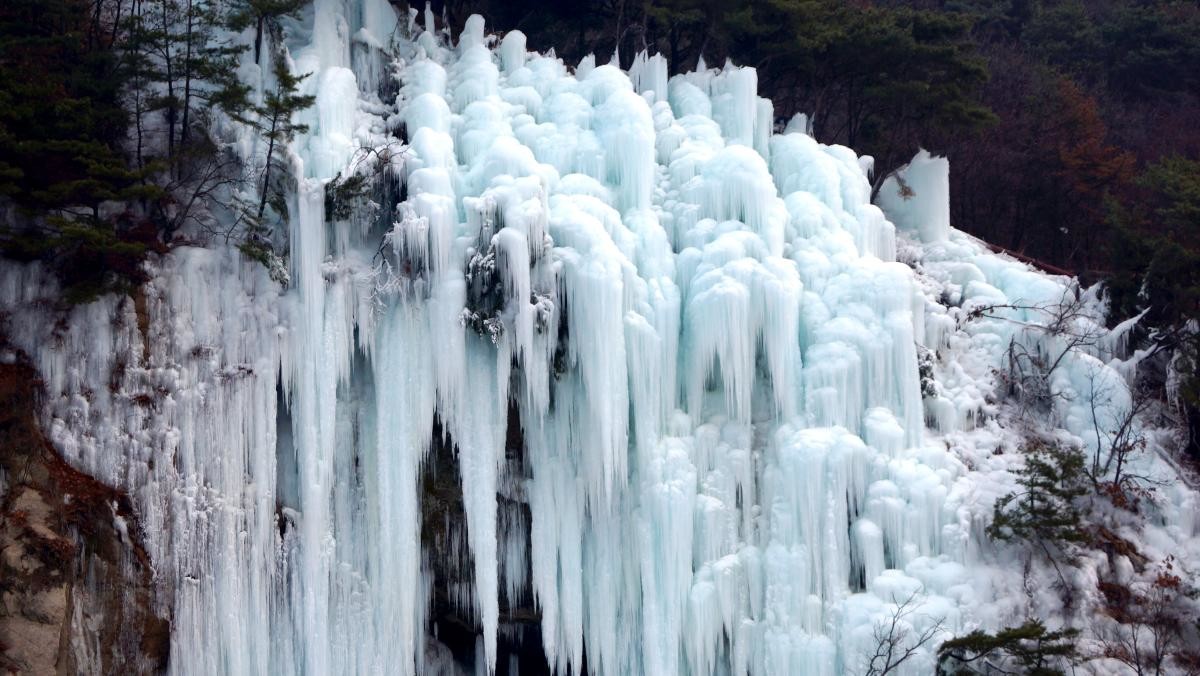 강원 철원 한탄강 현무암협곡 주상절리. / 뉴스1