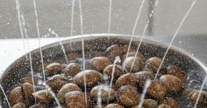 기사의 이해를 돕기 위한 AI 생성 이미지