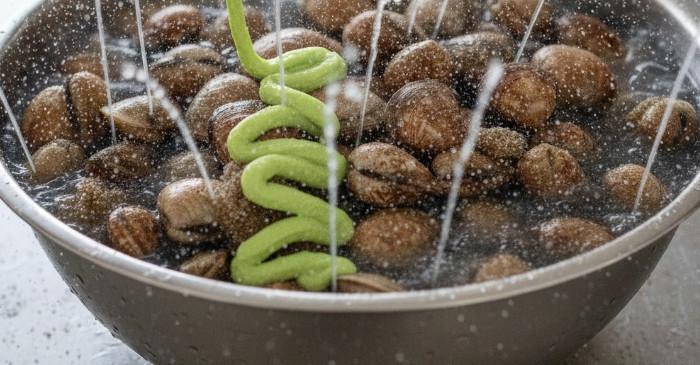 기사의 이해를 돕기 위한 AI 생성 이미지