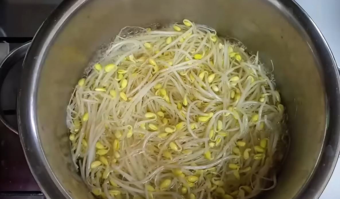 유튜브 '주부나라'