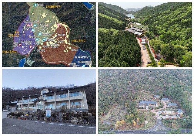 왼쪽 상단부터 국립 다도해 산림치유원 위치도, 팔영산 편백치유의숲, 팔영산자연휴양림,마복산목재문화체험장