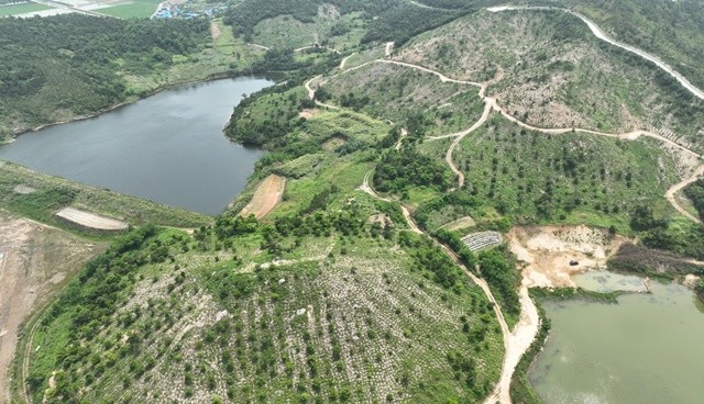 신안군 섬숲 전경