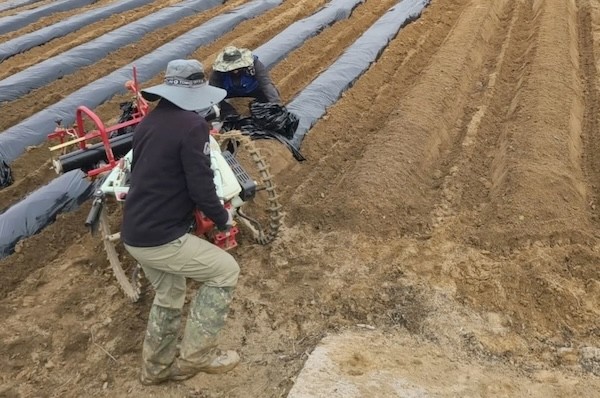 농기계작업단 운영 / 순창군