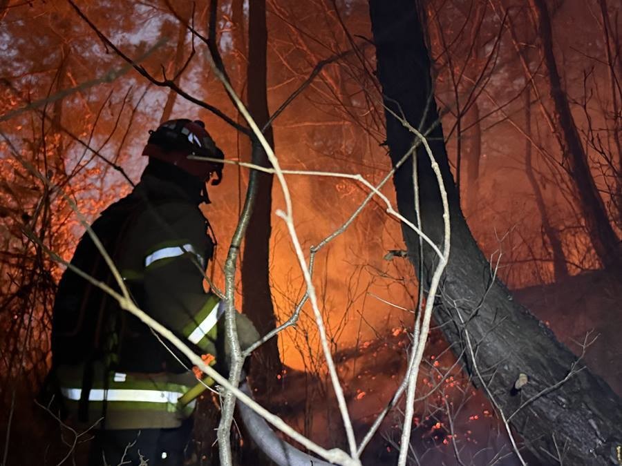 경북 의성군 산불 진화 모습/경북소방