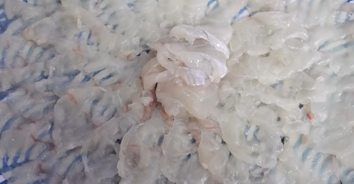 유튜브 '입질의추억TV jiminTV'