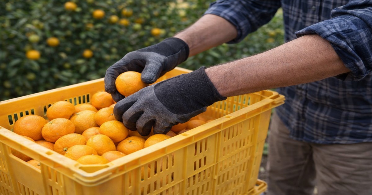 기사 내용을 바탕으로 한 AI 단순 자료 이미지
