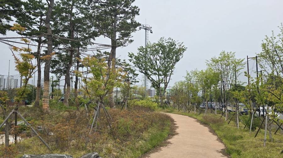 상도생활야구장 전경/포항시