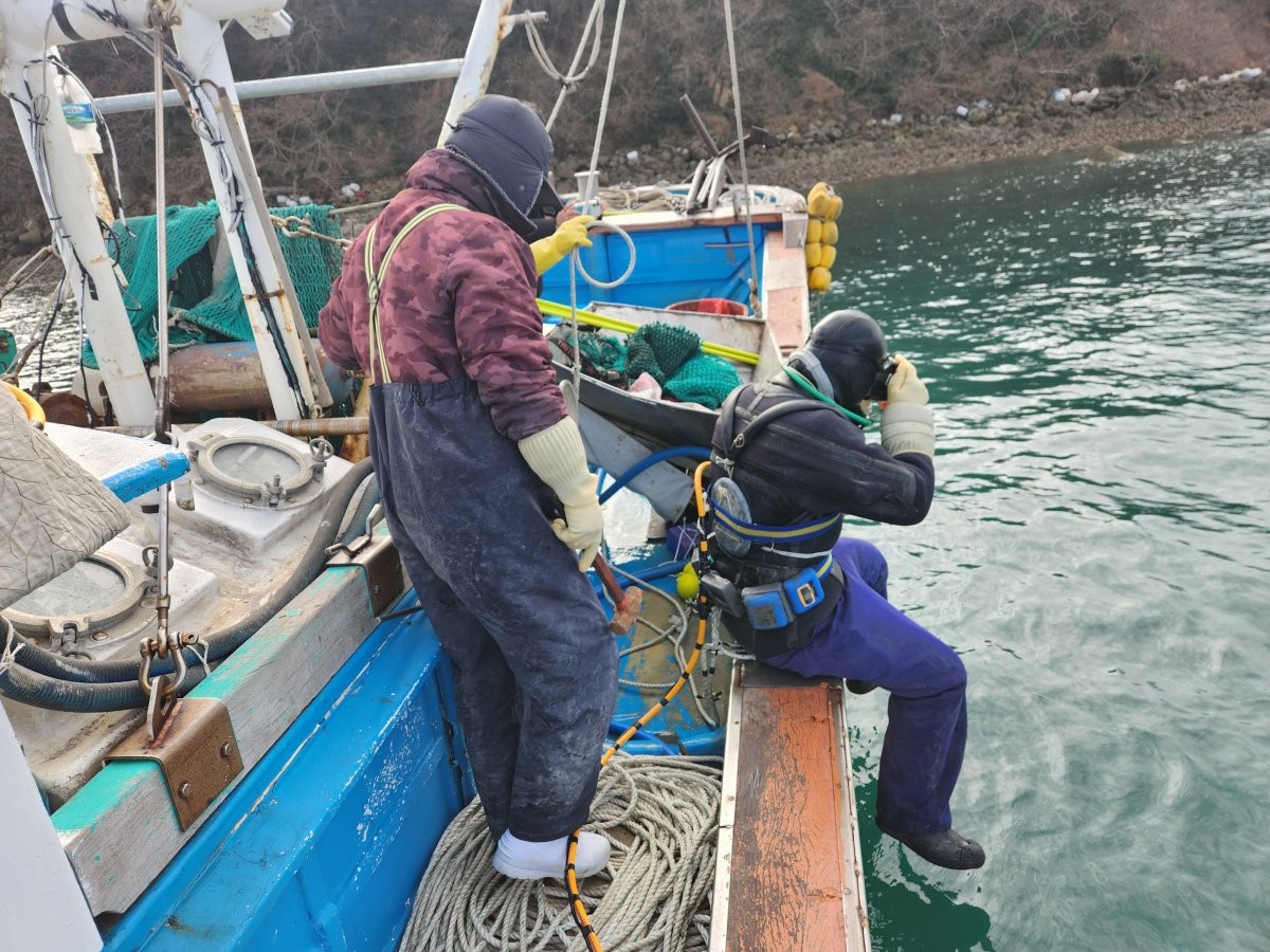 제3·4구 잠수기수협과 여수 잠수기 자율관리어업공동체는 왕우럭조개 6㎜ 종자 80만 마리를 여수 경호동 지선 해역에 방류했다.