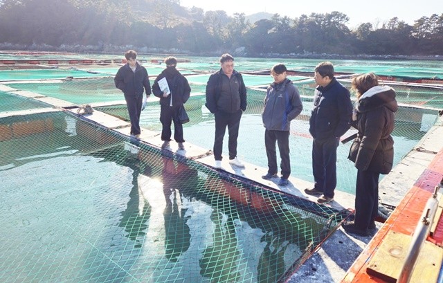 저수온 특보- 양식어가 현장점검