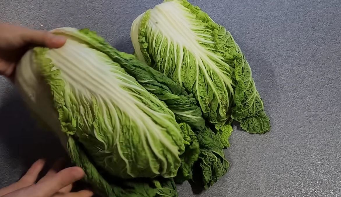 유튜브 'sogyo table 소교식탁TV'