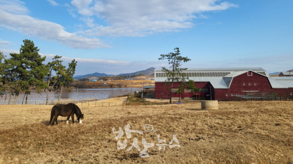 15일 대전·세종·충남 지역은 대체로 흐린 가운데 낮 기온이 오르며 온화한 날씨를 보이겠다. 고창 상하농원 전경 / 사진=김지연 기자