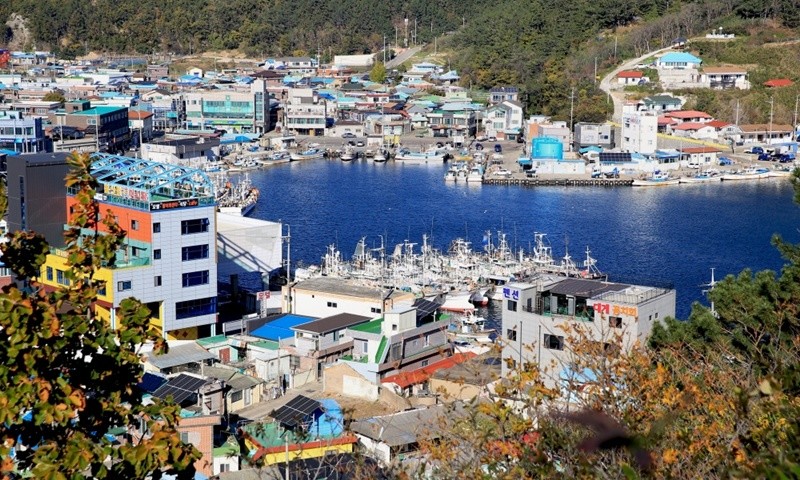 영덕군 축산항 전경 / 박병준 기자