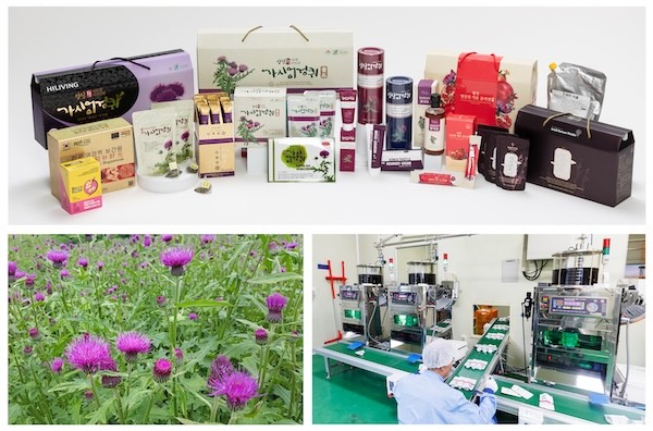 임실엉겅퀴 K-기능성식품 육성 / 임실군