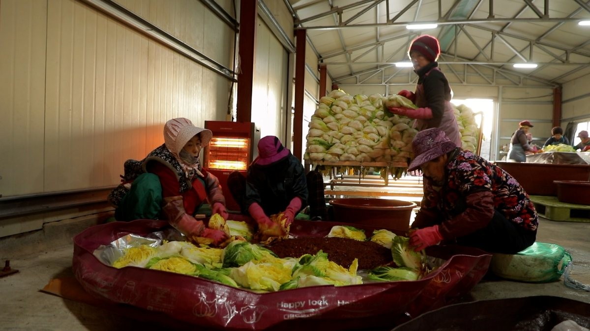 EBS1 '한국기행' 미리보기 페이지에서 제공하는 '흐미 짠 거~ 남도 김치의 진 맛!' 편 자료 사진. / EBS1 제공