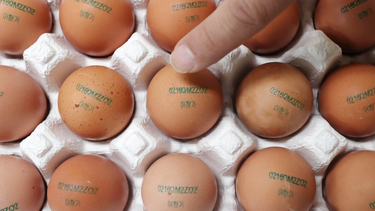 기사의 이해를 돕기 위한 사진 / 뉴스1