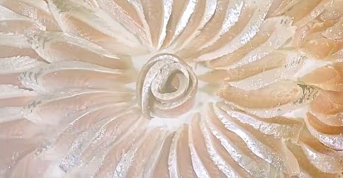 유튜브 '입질의추억TV jiminTV'