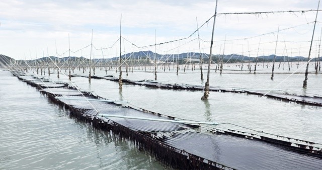 햇바디2호- 시험어장 전경