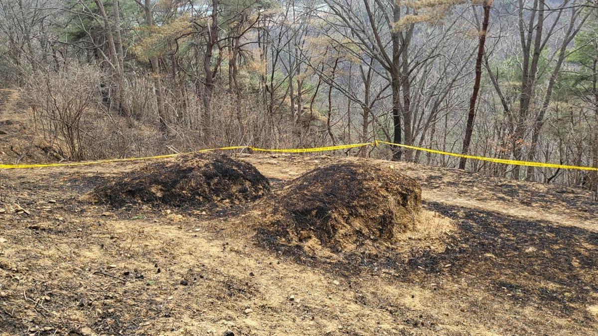 작년 3월 경북 의성군 괴산리 야산의 최초 발화지점에 산림 당국의 출입 통제 라인이 설치돼 있다. / 뉴스1