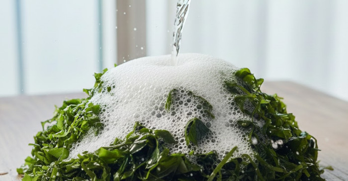 기사의 이해를 돕기 위한 AI 생성 이미지