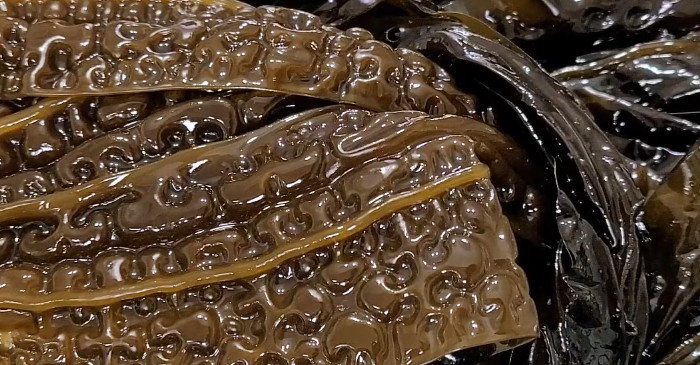 유튜브 '미단, 일상을 요리하다'