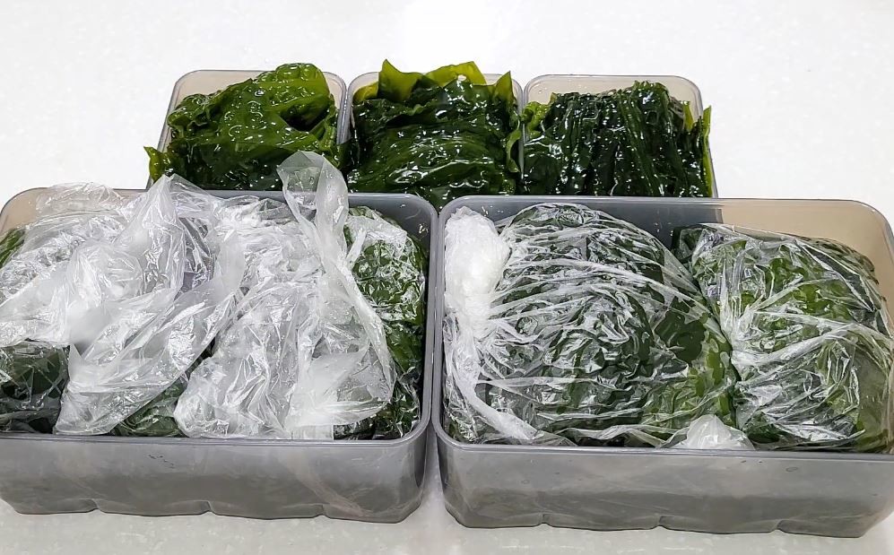 유튜브 '미단, 일상을 요리하다'