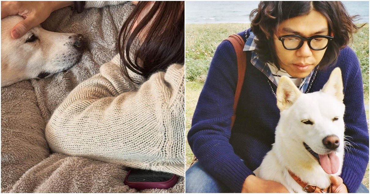 가수 이효리·이상순 부부와 구아나 / 이상순 인스타그램