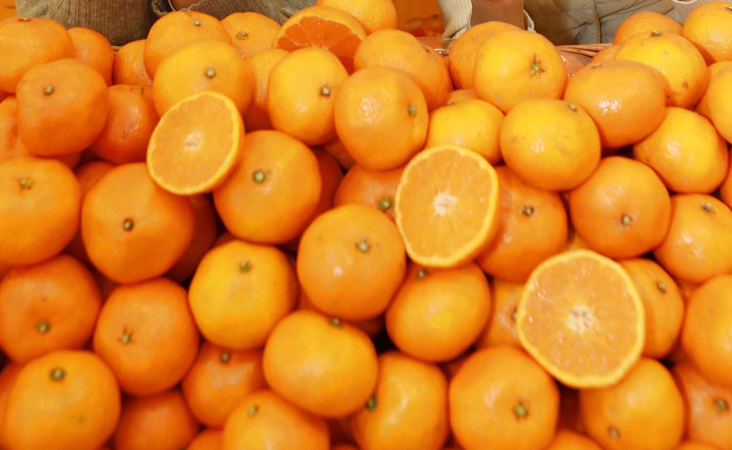 타이벡 감귤 / 뉴스1 자료사진