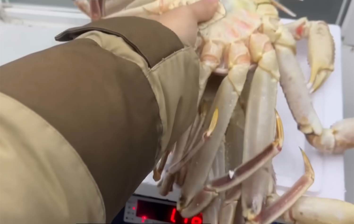 소래포구 종합어시장에서 여전히 저울치기 사기 수법이 벌어지는 것으로 확인됐다. / '생선선생 미스터S' 유튜브 채널