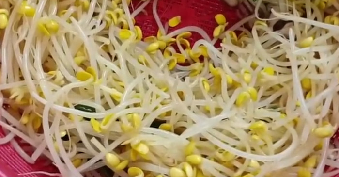 유튜브 '주부나라'