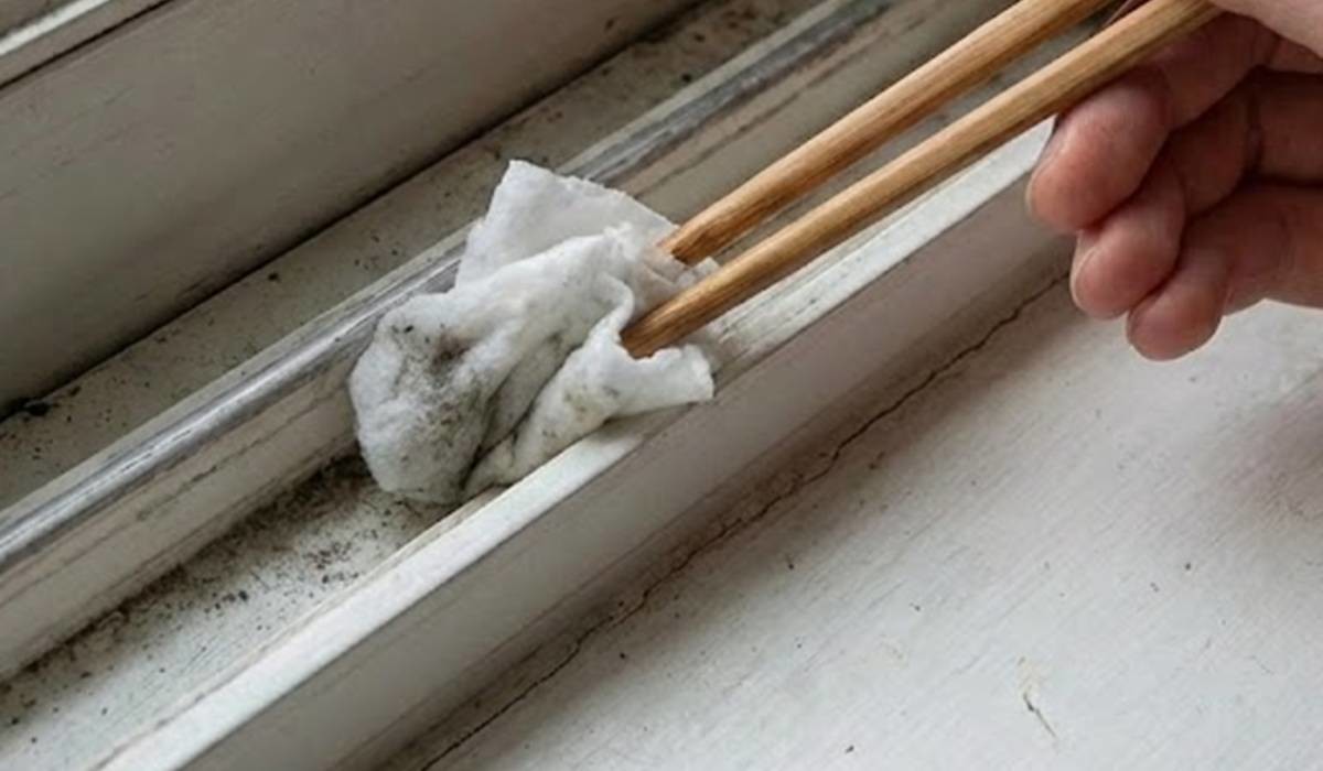 물티슈에 나무젓가락? 기사에 대한 이해를 돕기 위해 AI 툴로 제작한 자료 사진