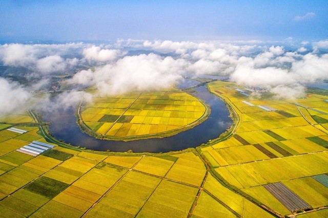 ‘남도의 젖줄’ 영산강 유역에 드넓게 펼쳐진 나주평야. 나주가 ‘호남의 대표 농도’임을 가늠케 한다