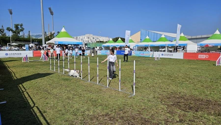 반려동물 문화축제 행사 현장/포항시