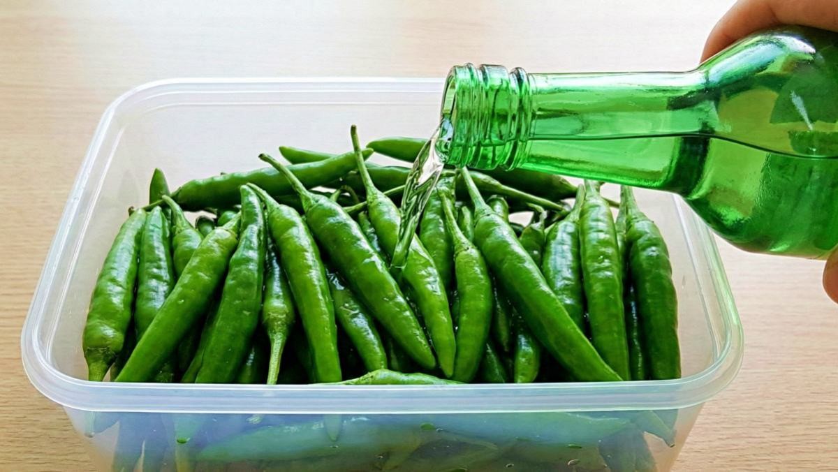 '고추에 소주를 부어라?!' 기사 내용 토대로 AI툴 활용해 제작한 자료사진.