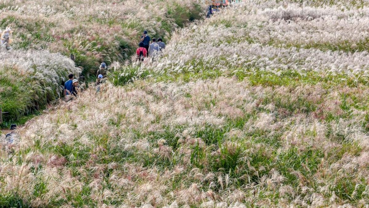 하늘공원. / 뉴스1