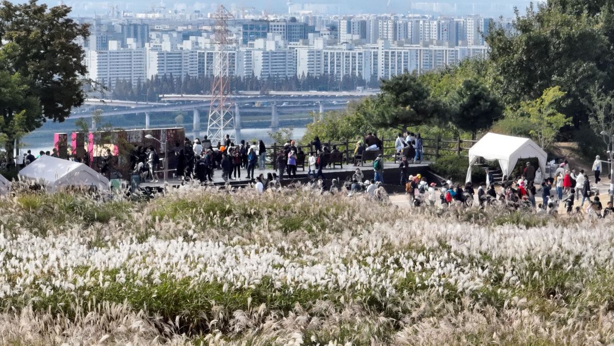 하늘공원. / 연합뉴스