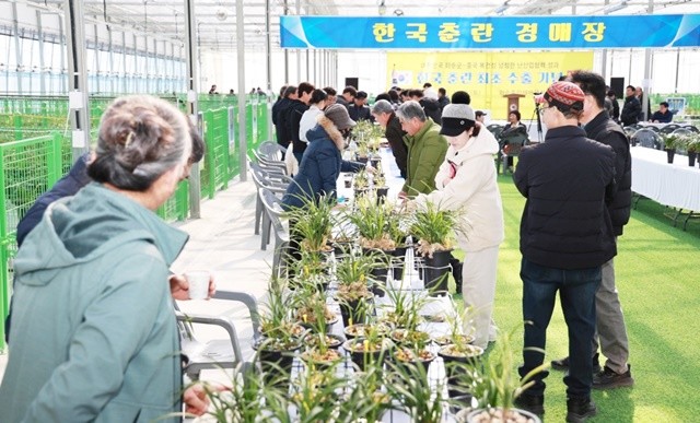 화순춘란재배온실에 전시된 난을 둘러보는 방문객들