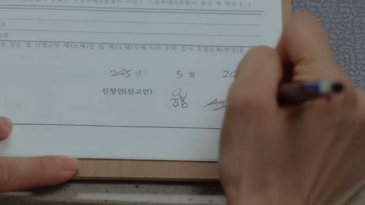 드라마 '스프링피버' / tvN