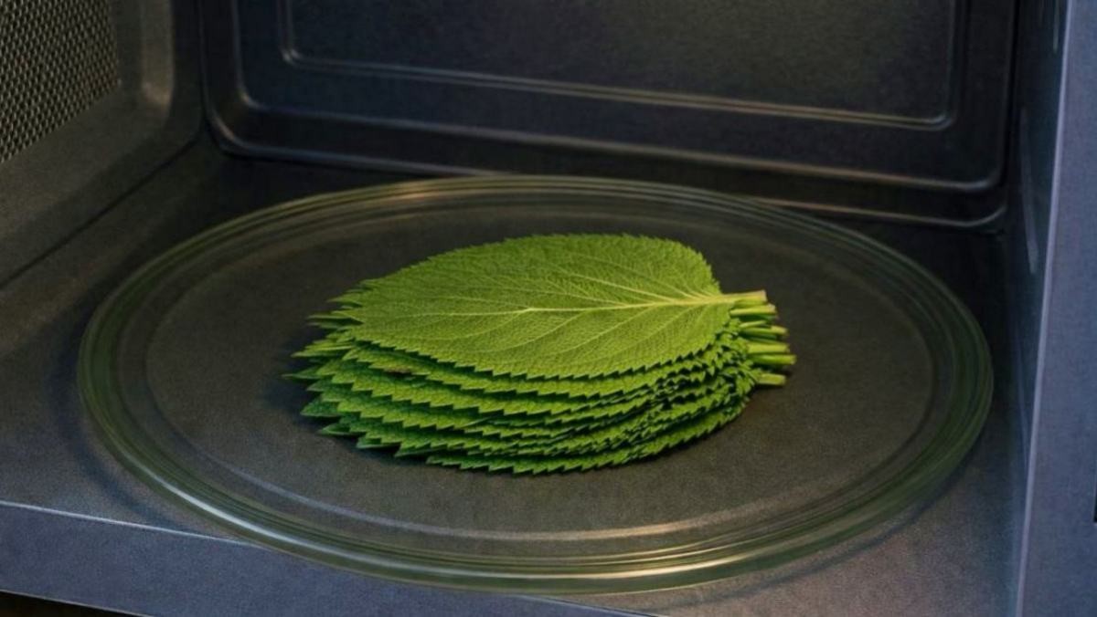 '전자레인지에 깻잎을?!' 기사 내용 토대로 AI툴 활용해 제작한 자료사진.