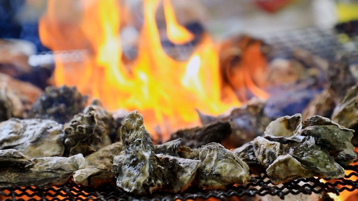 EBS1 '한국기행' 미리보기 페이지에서 제공하는 '남포마을 석화대첩' 편 자료 사진. / EBS1 제공