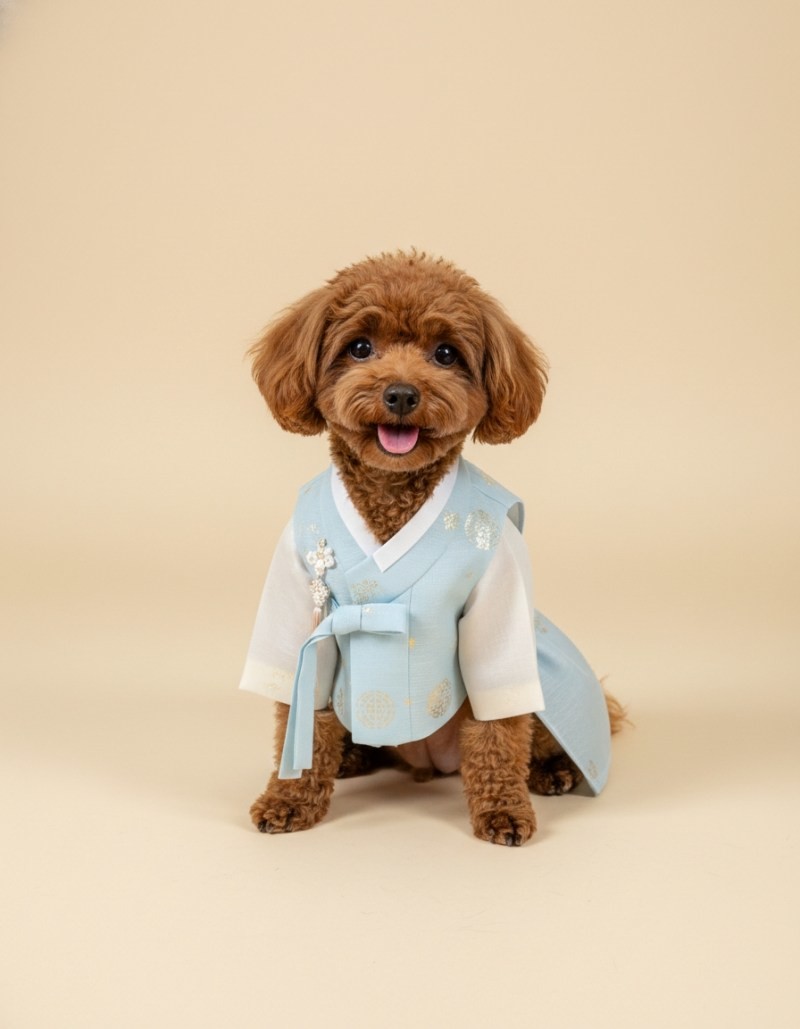 ‘새해 맞이 한복 프로필’ 기능을 활용한 결과물 / 컬리