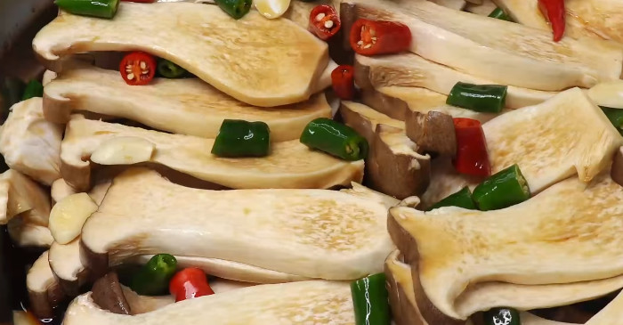 유튜브 '팔숙이 palsook'