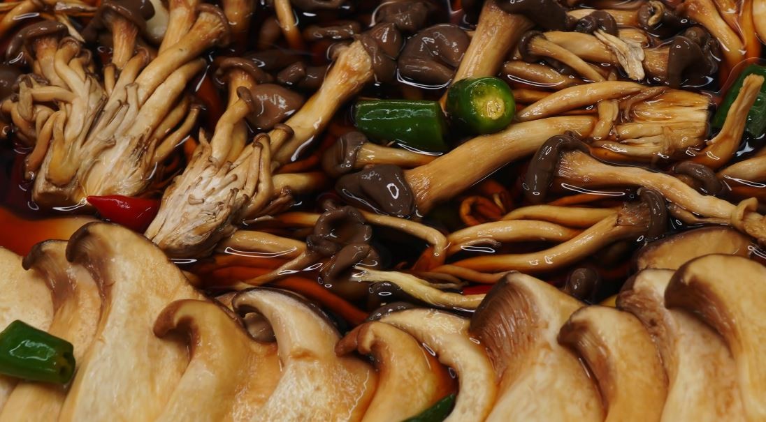 유튜브 '팔숙이 palsook'