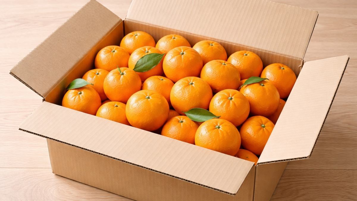 귤이 박스에 담긴 모습 (AI로 제작됨)